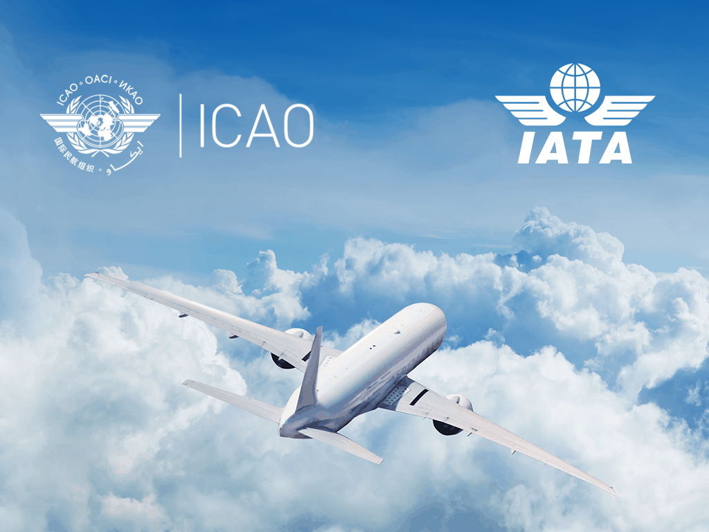 Wax ka ogow nidaamka Advanced Passenger Information (API) ICAO