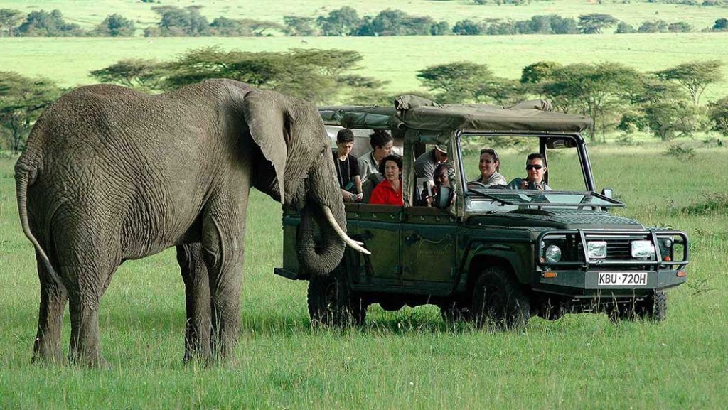 KENYA 1