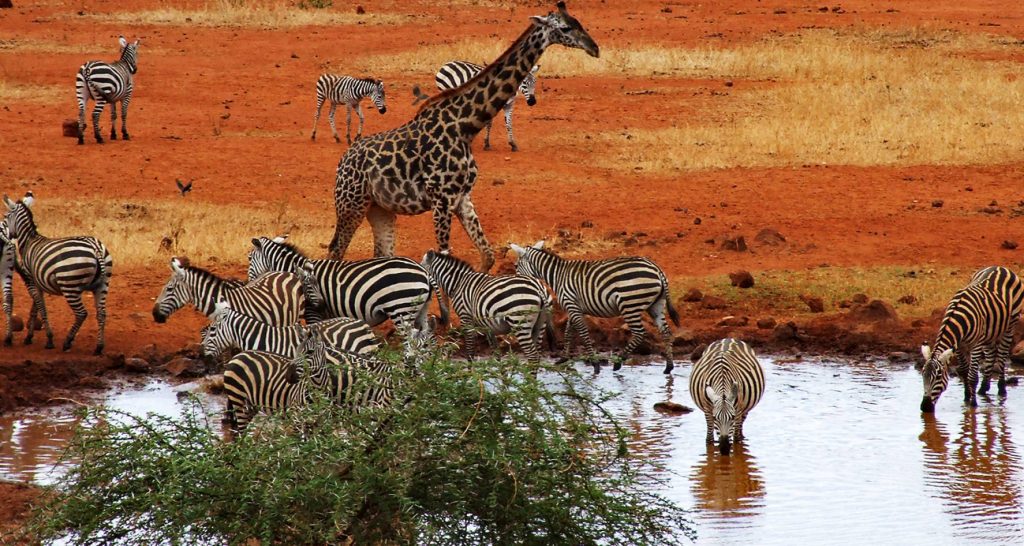 KENYA 2