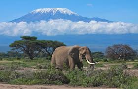 KENYA 5