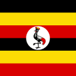 Visit Uganda with Abdikarim Ali Baarjeeh: the best guide