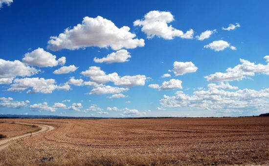 pexels-pixabay-46160